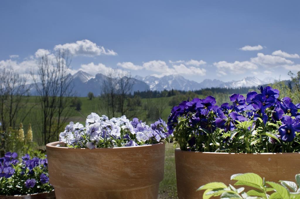 Nowe Miejsce Brzegi Brzegi (Tatra) Exterior foto